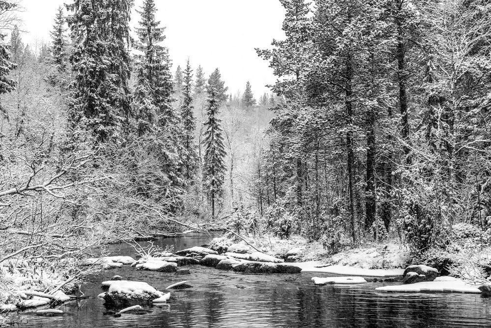 Photograph by Оксана Кузнецова