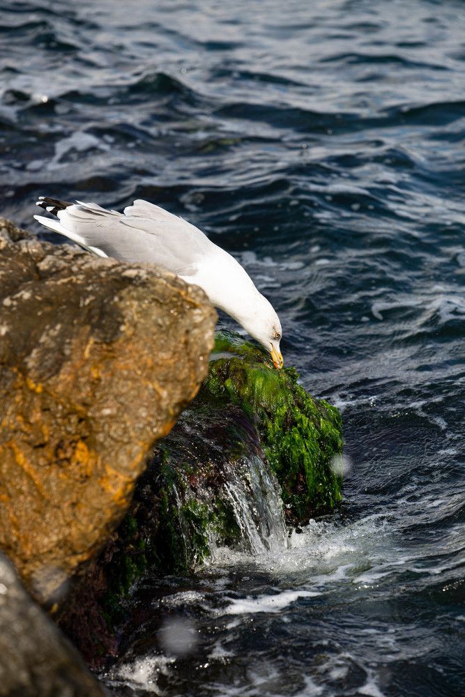 Фотография автора Анна Абрамова