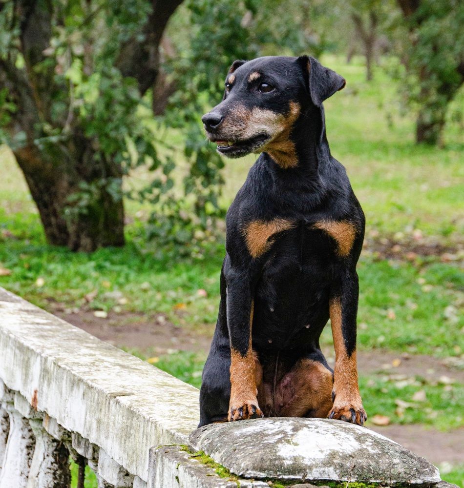Photograph by Александра Гончаренко Александра Гончаренко