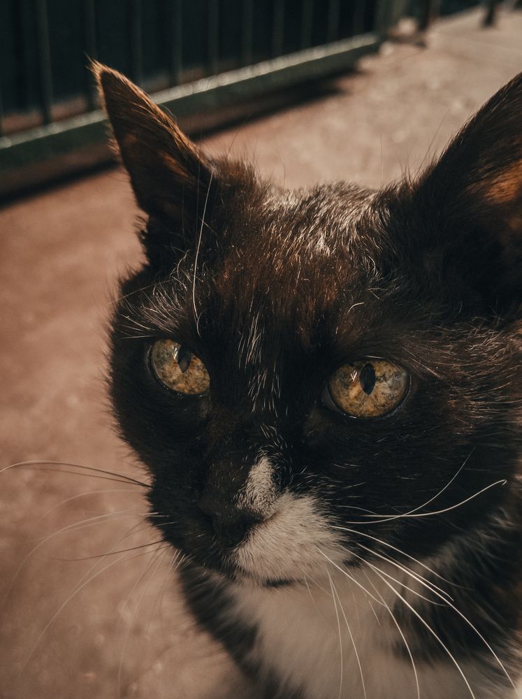 Photograph by Даниил Петруненко