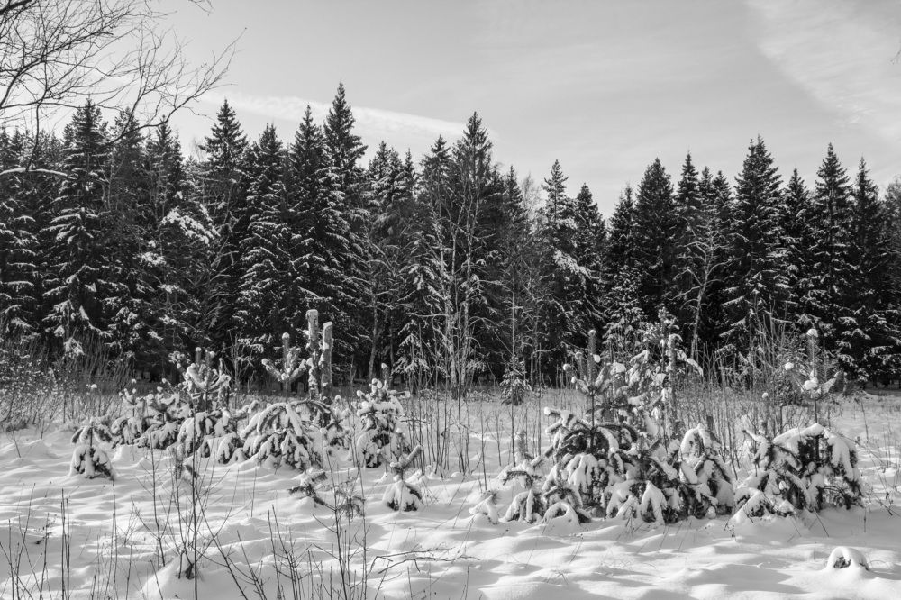 Photograph by  Vladimir