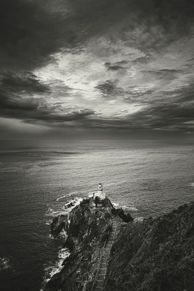 Photograph by Murcia J. A.