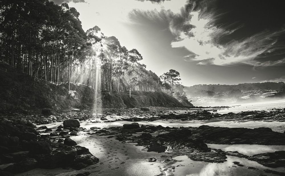 Photograph by Murcia J. A.