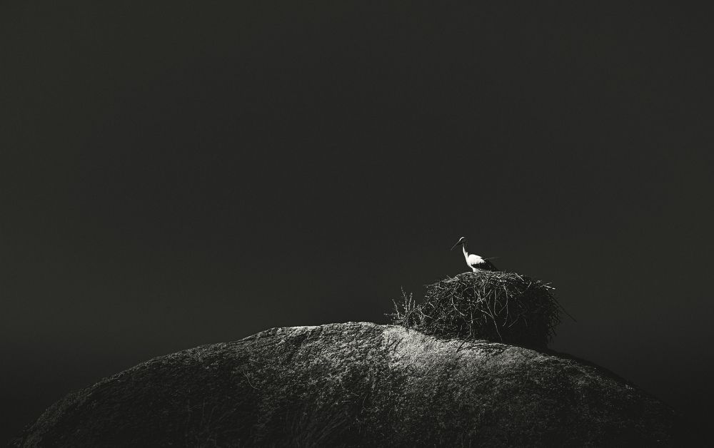 Photograph by Murcia J. A.