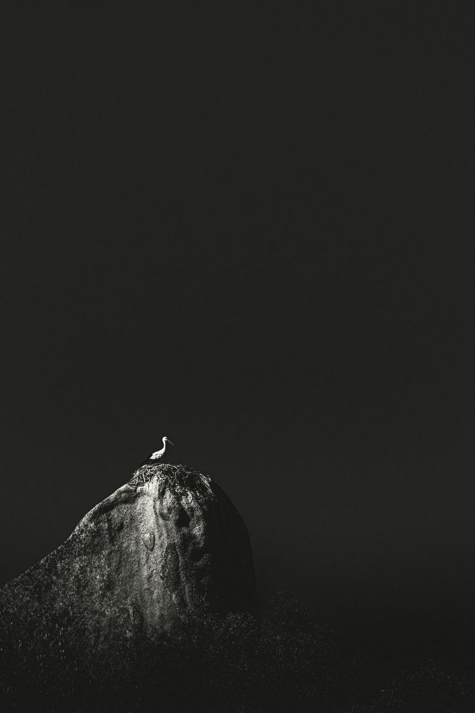 Photograph by Murcia J. A.