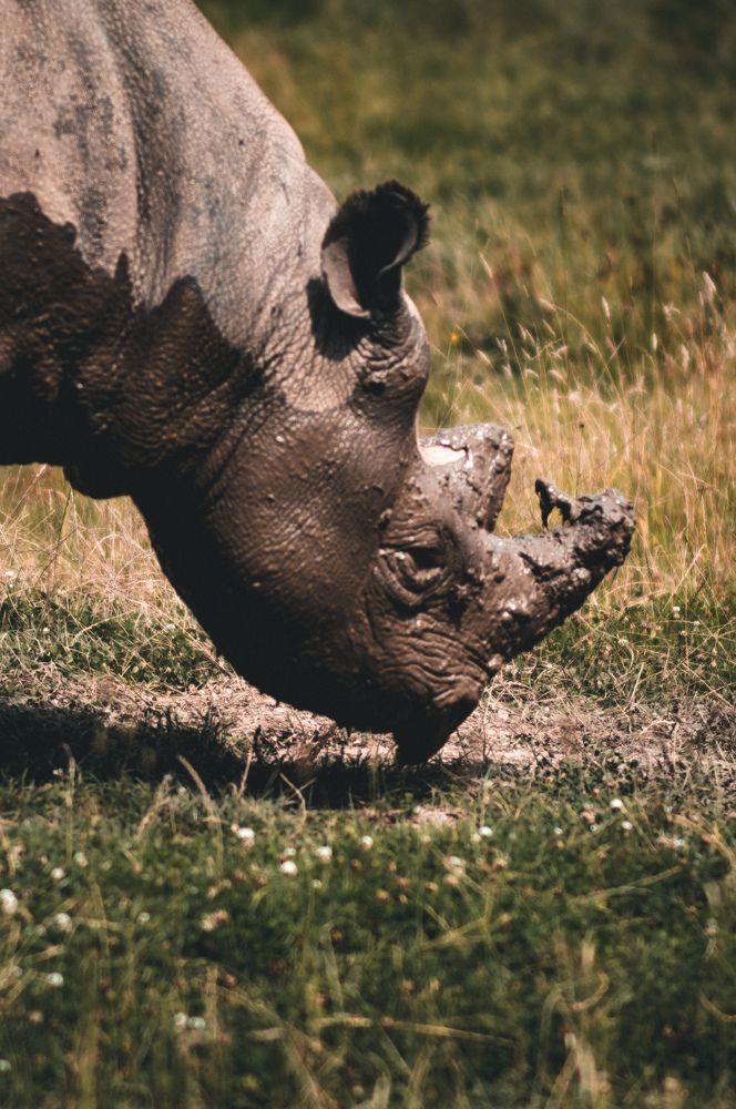 Photograph by Daria Isabella Dziedzic