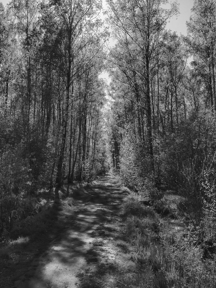 Photograph by Игорь Камов