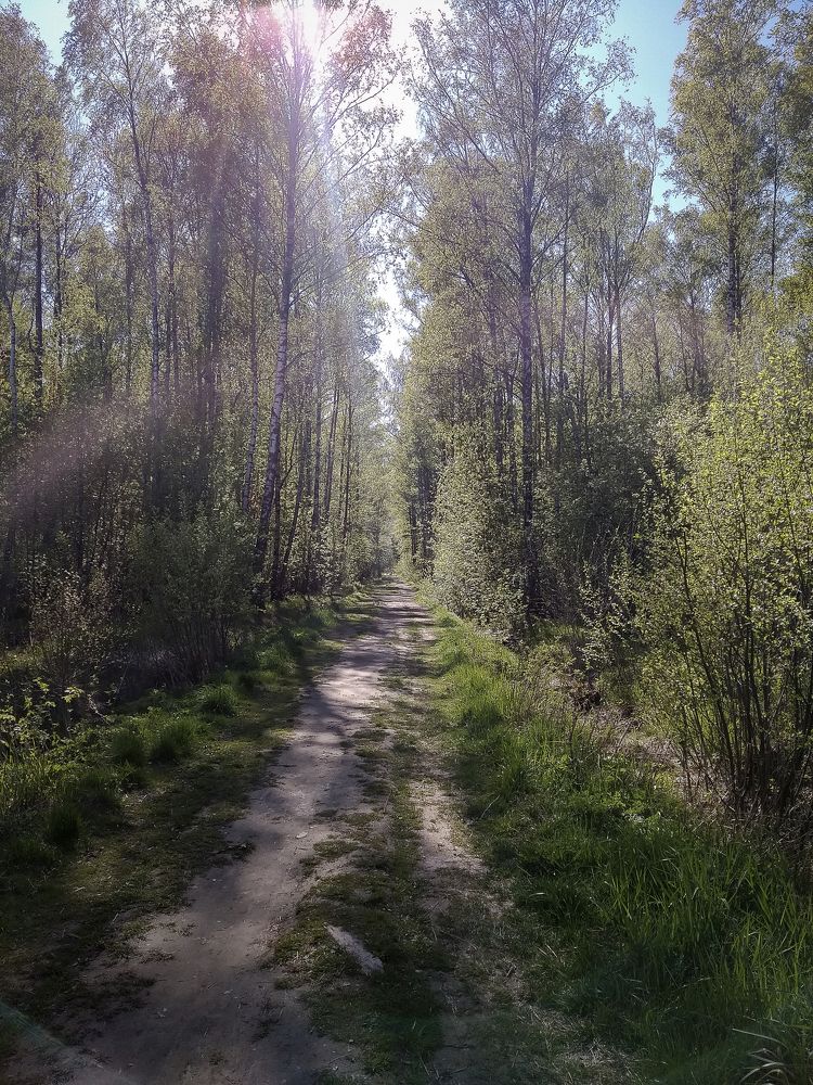 Photograph by Игорь Камов