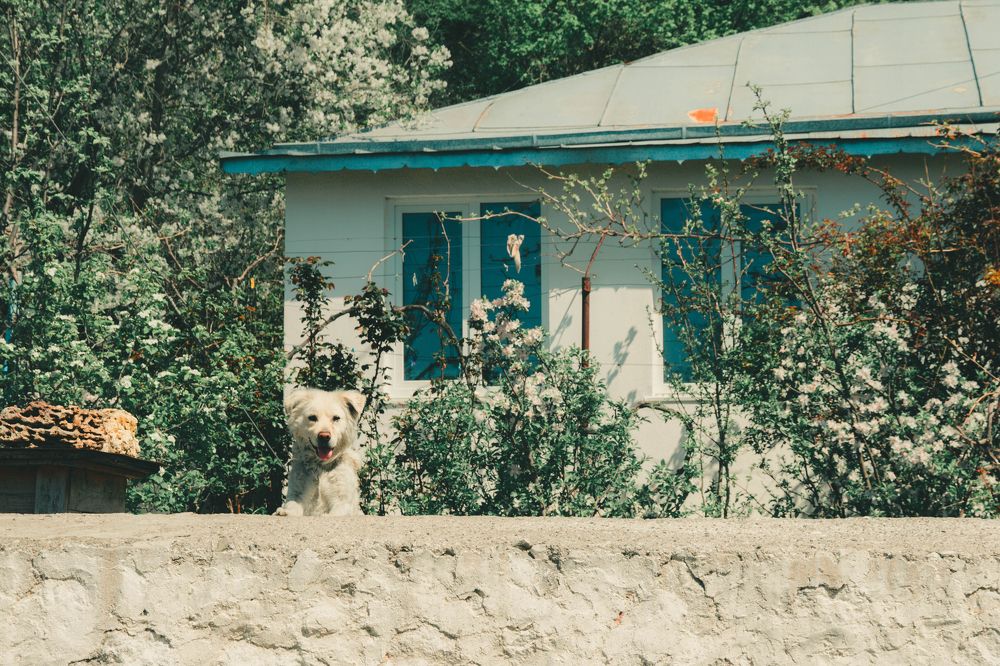 Photograph by Даниил Петруненко