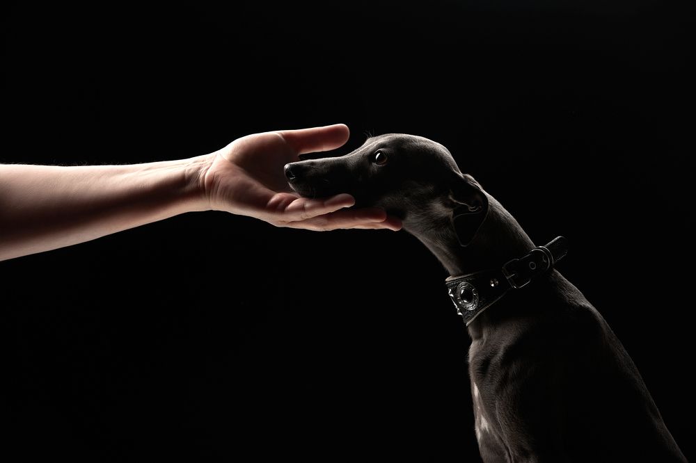 Photograph by Лана Полякова