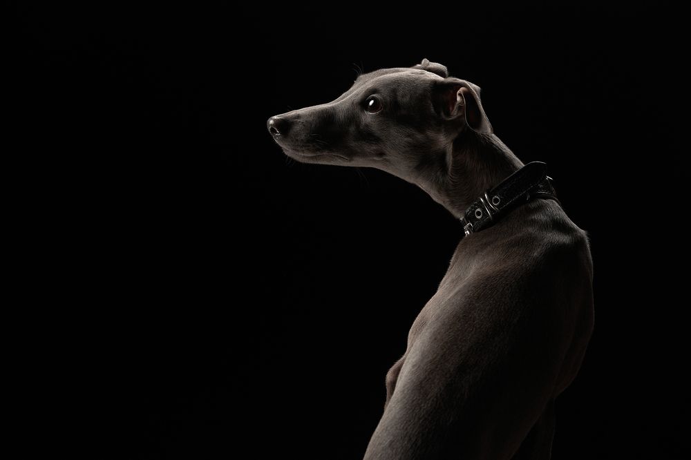 Photograph by Лана Полякова