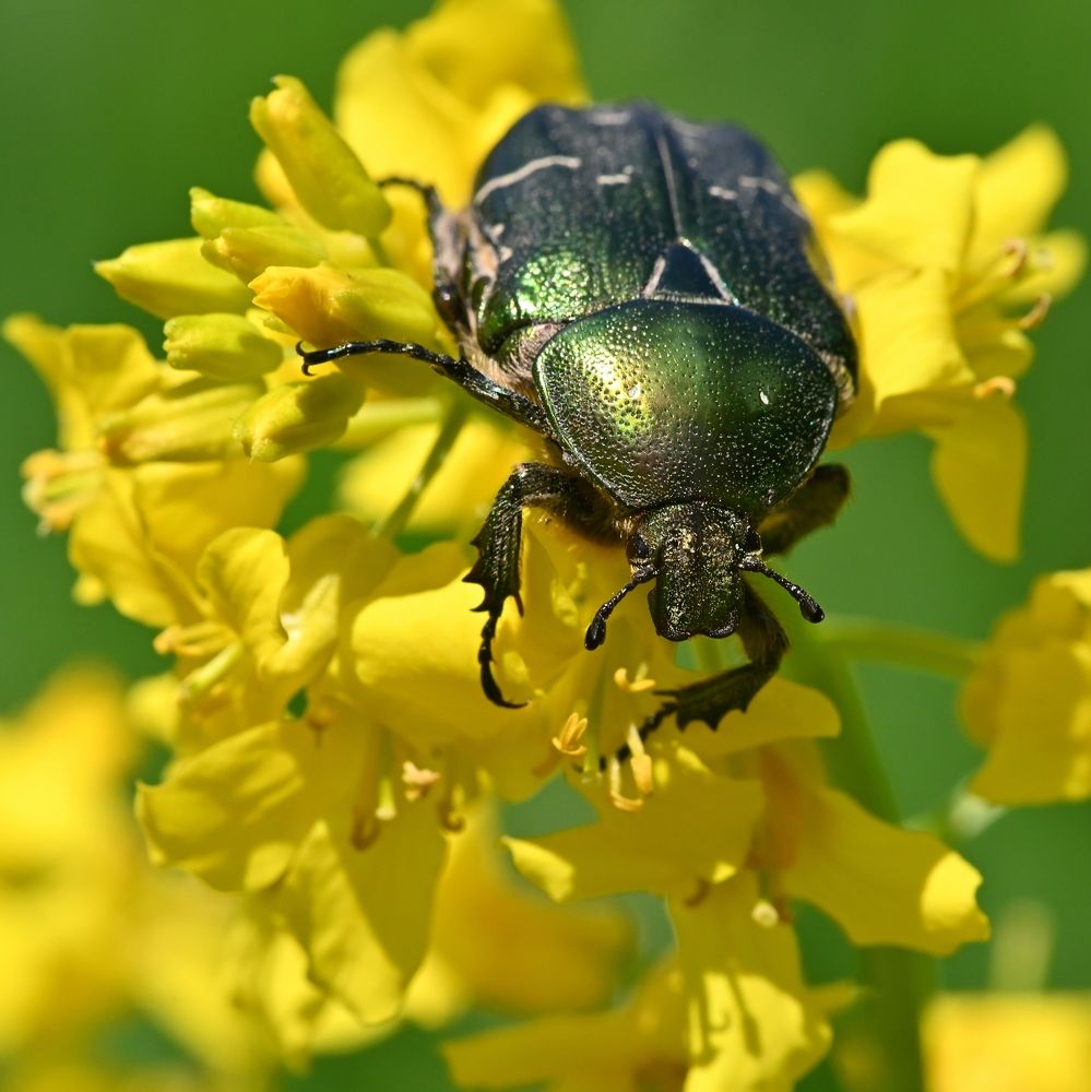 Photograph by Алексей Гордеев