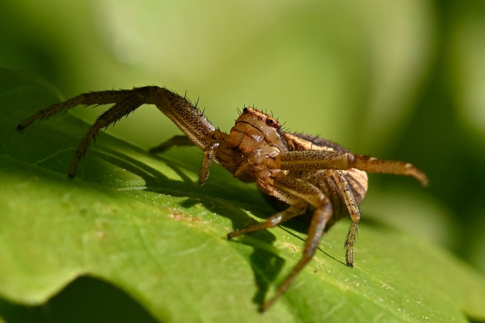 Photograph by Алексей Гордеев