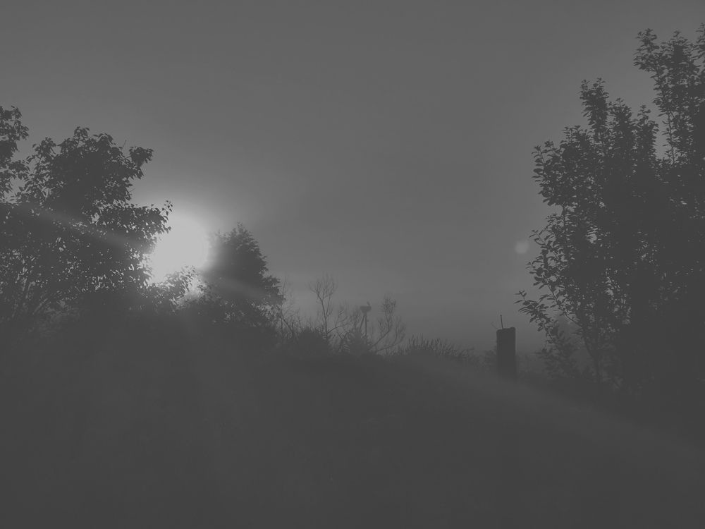 Photograph by Александр Костин