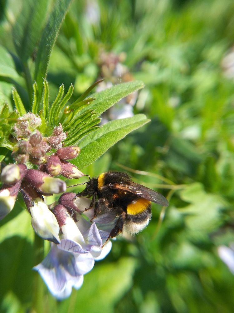 Photograph by Ольга Сафронова
