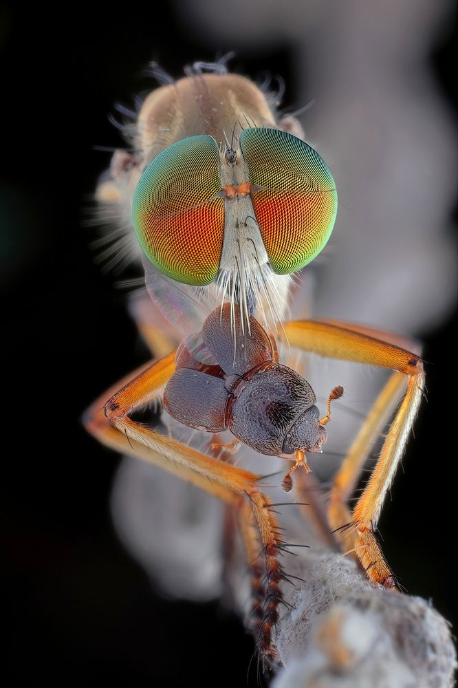 Photograph by Chen-You Li