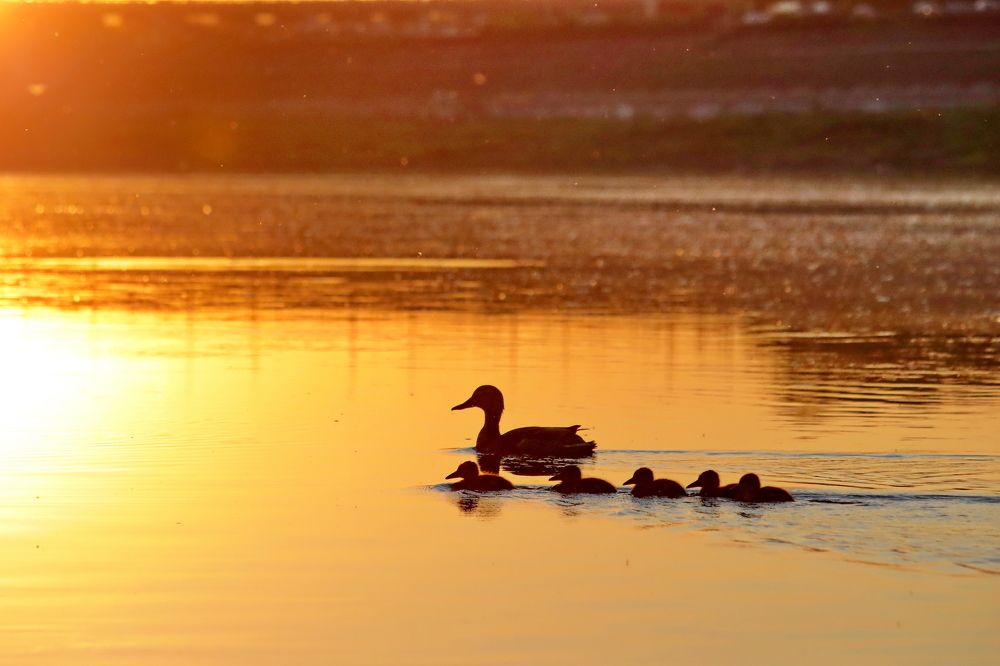 Photograph by Владимир Крылов