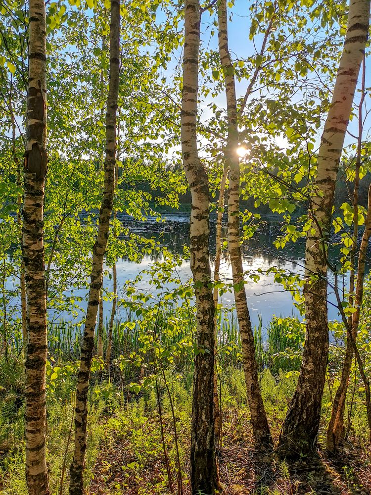 Photograph by Владимир Крылов