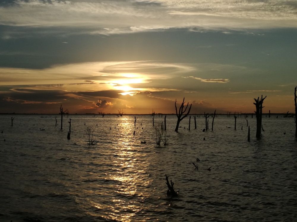 Photo #7651050
