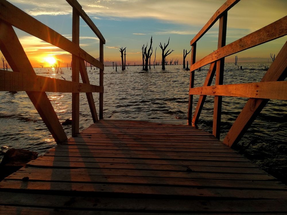 Photo #7651054