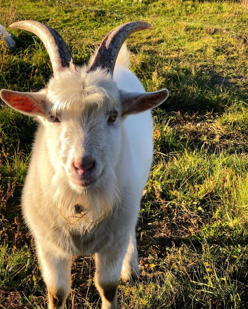 Photograph by Лариса Акинчиц