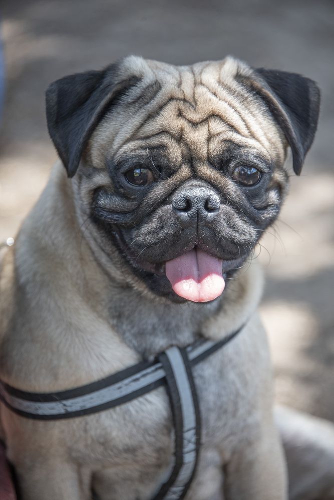 Photograph by Aлена Плясова