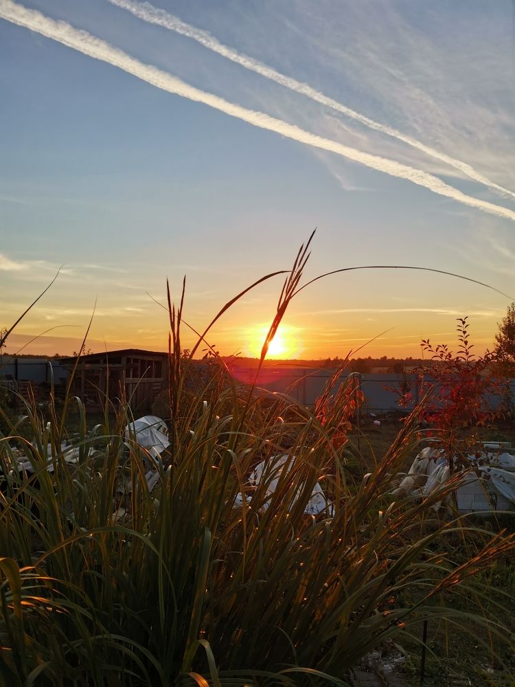 Photograph by Александр Костин