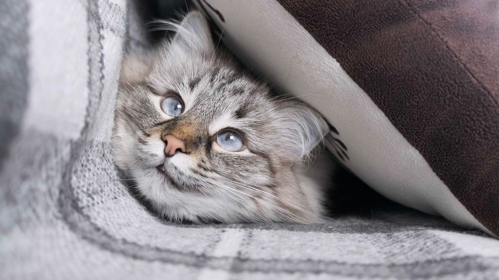 Photograph by Валерий Бочкарев