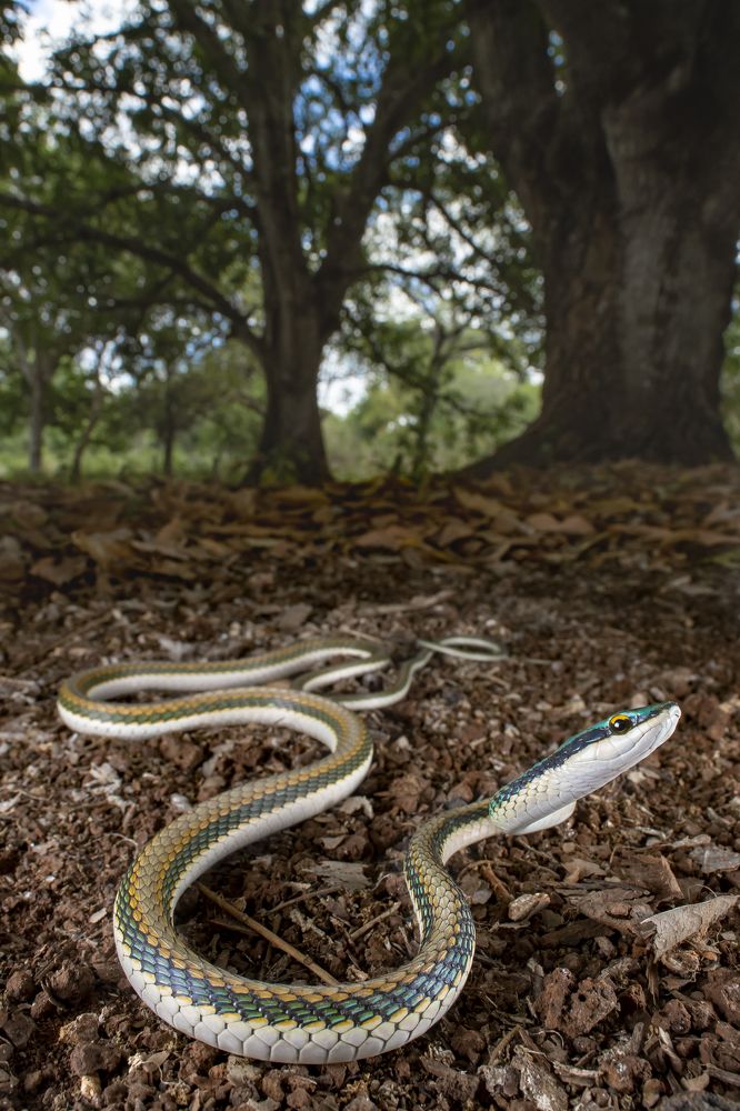 Photograph by Omar Torres
