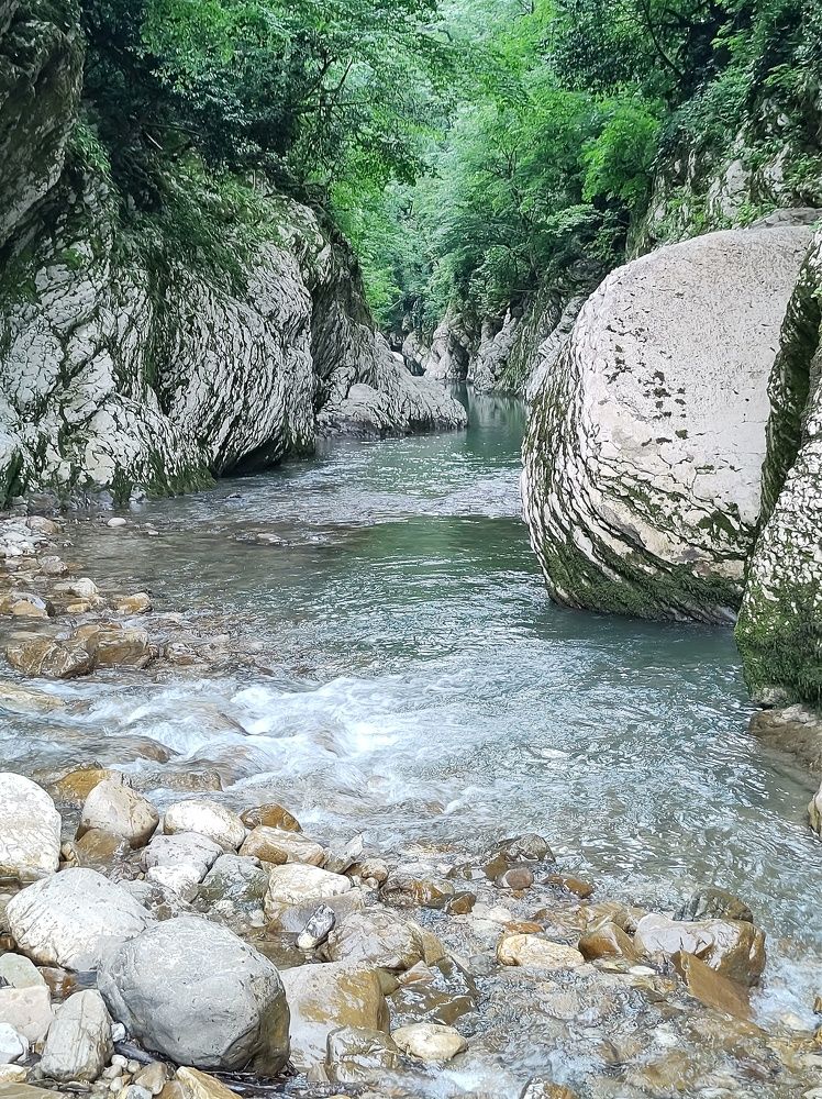 Photograph by Александра