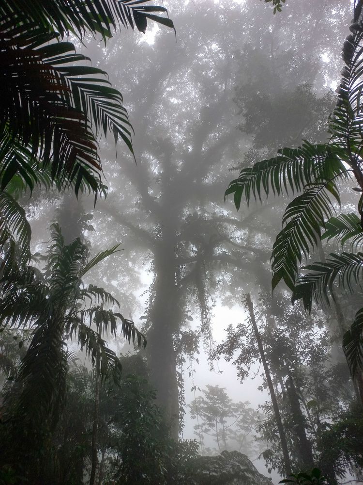 Photograph by Antonio Ros