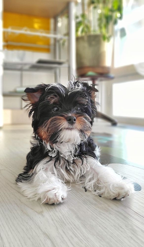 Photograph by Светлана Фладунг