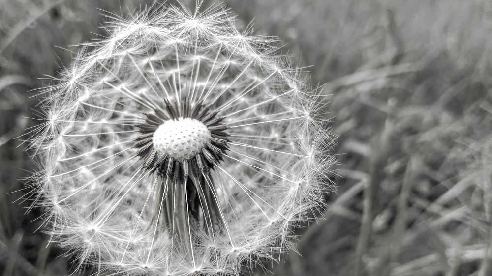 Photograph by Денис Лащ