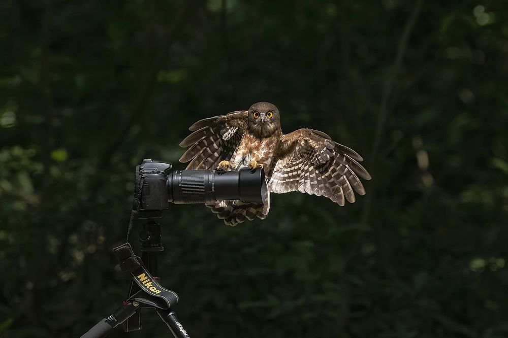 Photograph by Ritam Biswas