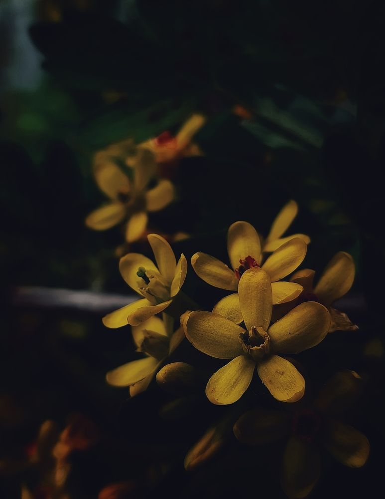 Photograph by Ксения Олина