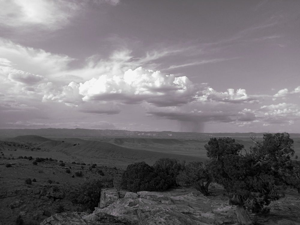 Photograph by Зинаида Кокарева