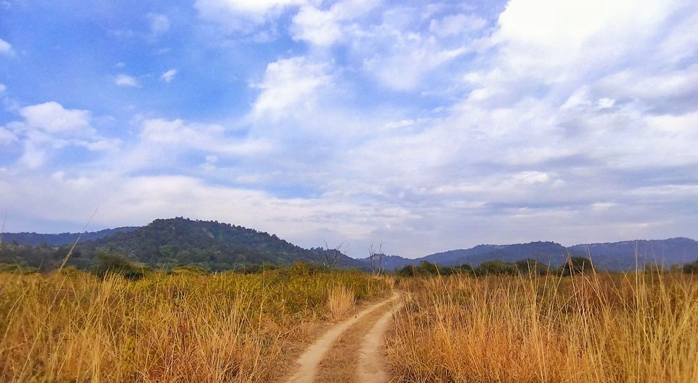 Photograph by Ritam Biswas