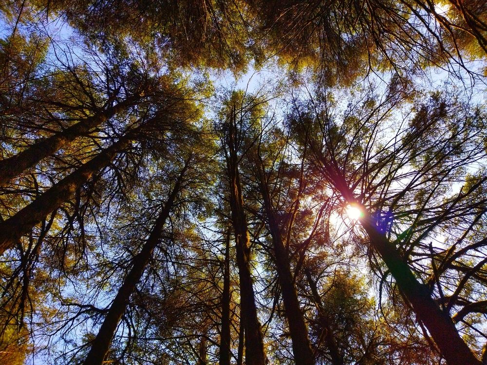 Photograph by Ritam Biswas