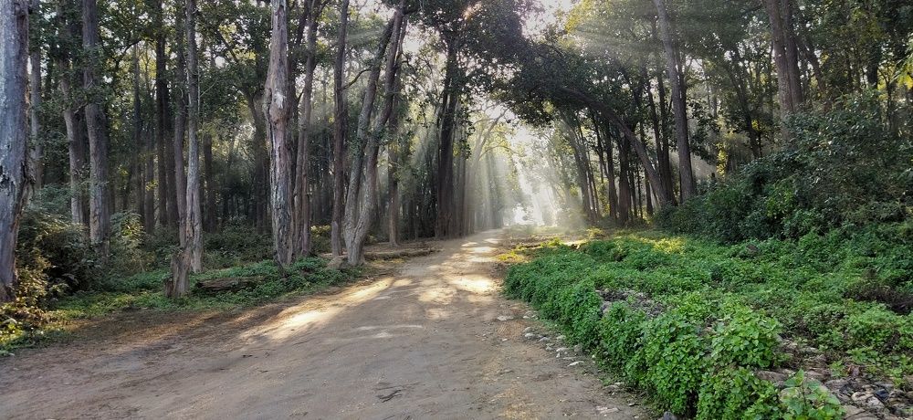 Photograph by Ritam Biswas