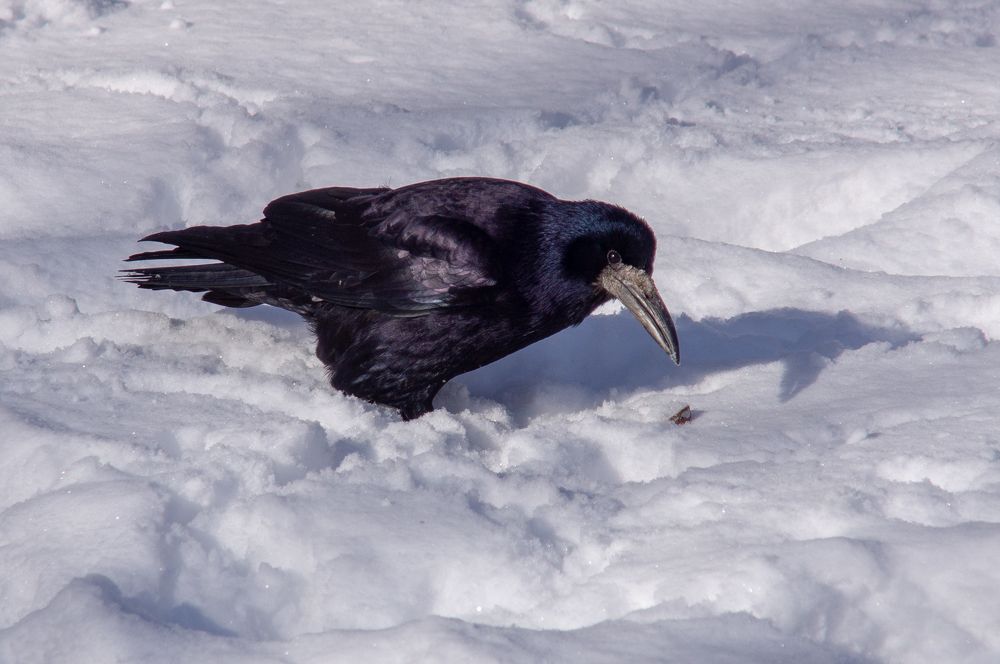 Photograph by Всеволод Маслов