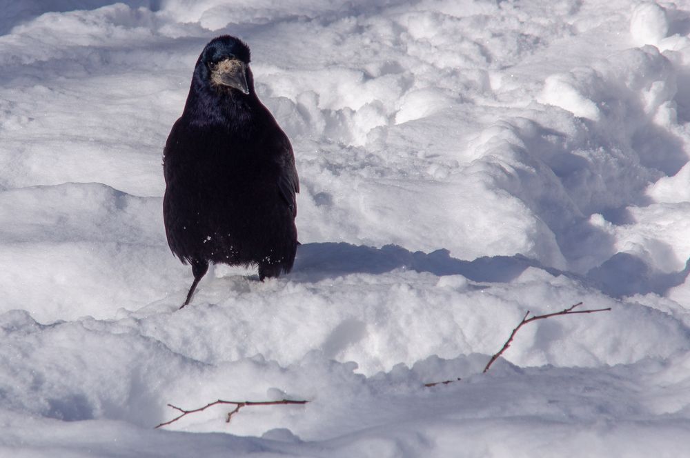 Photograph by Всеволод Маслов