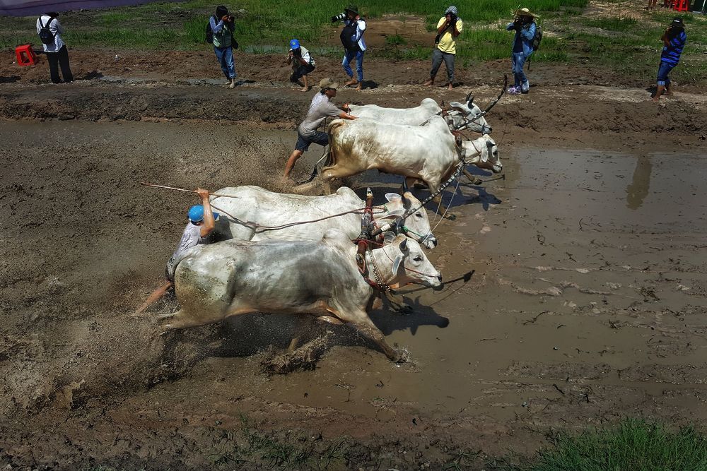 Compete for the finish line