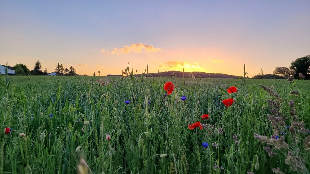 Photograph by Сергей Нагель-Синегубов