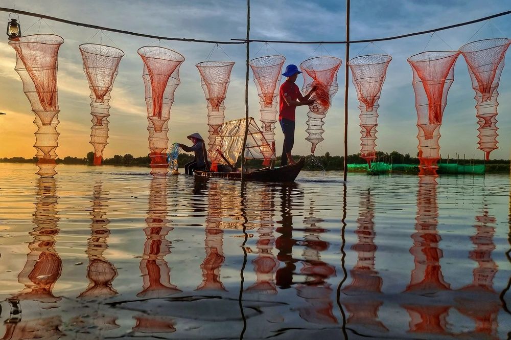 Drying nets