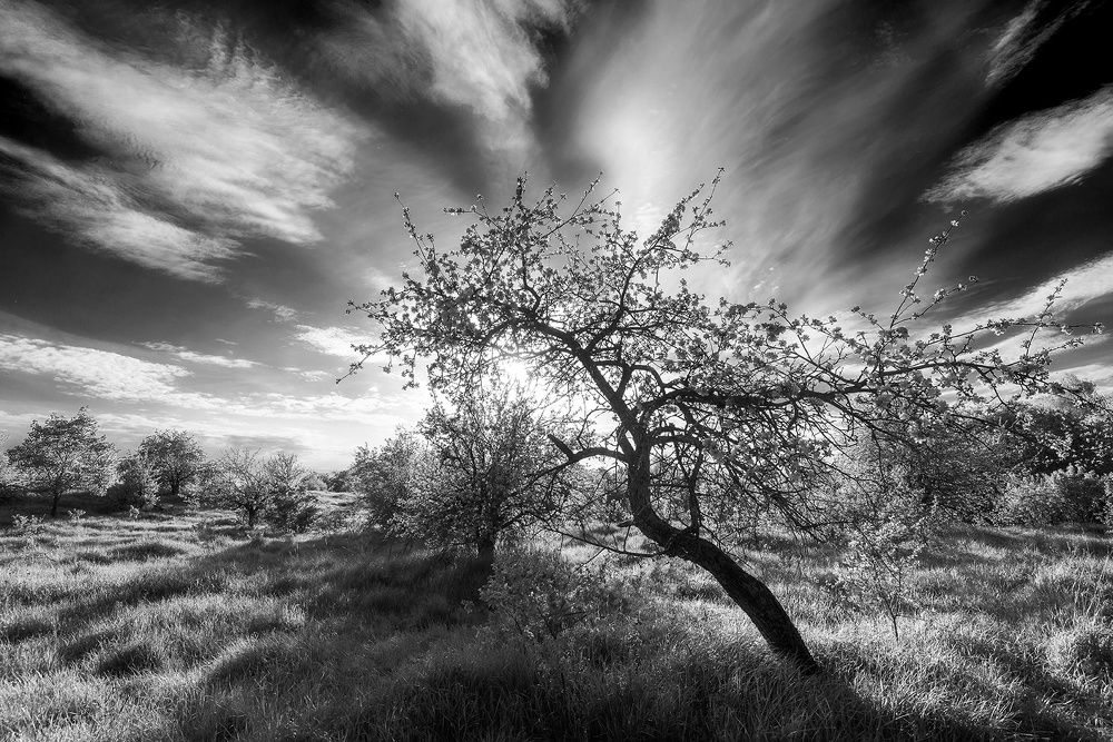 Photograph by Владислав Никишин