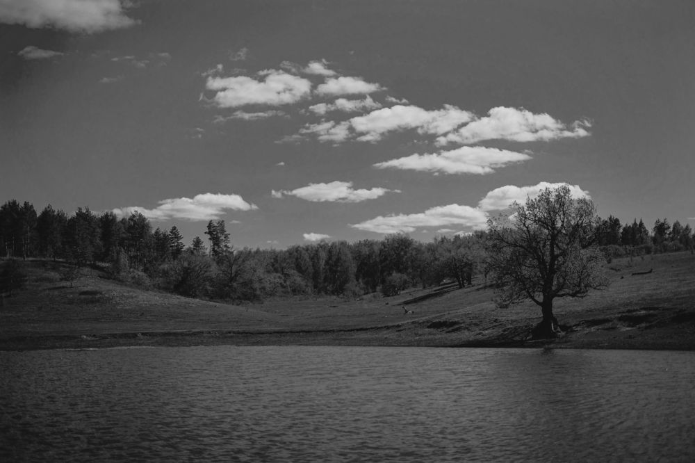 Photograph by Андриянова Юлия