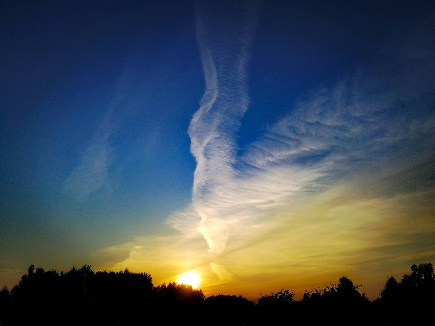 Photo #7651516