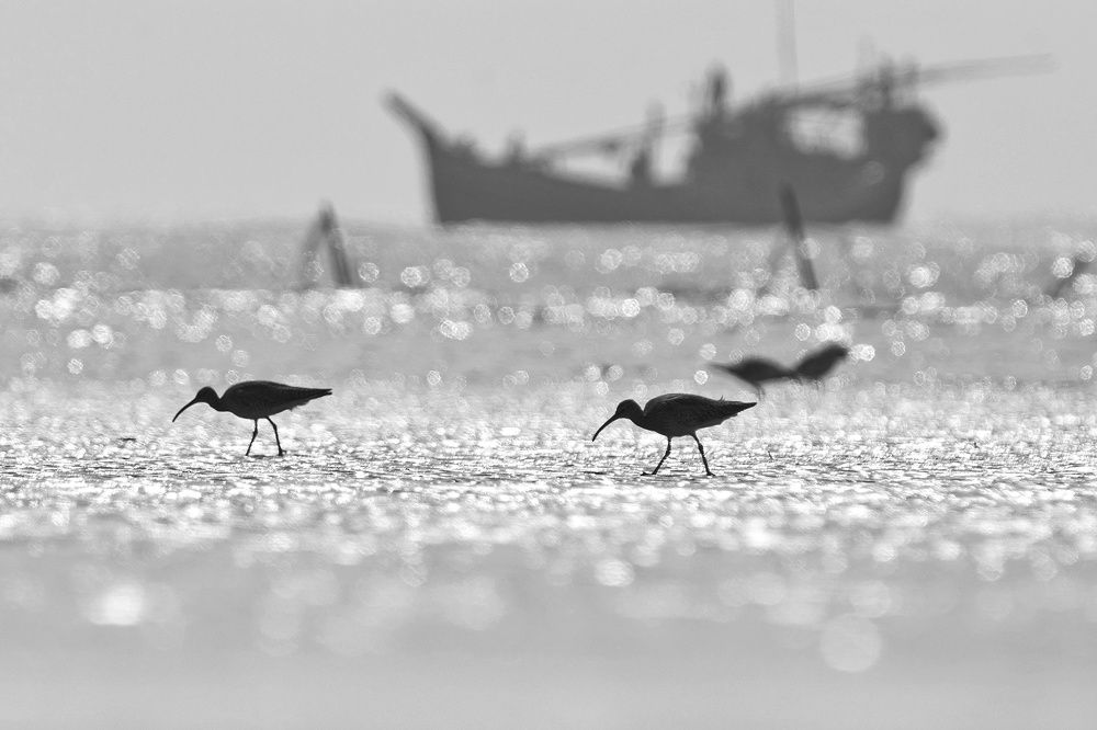 Photograph by Ritam Biswas