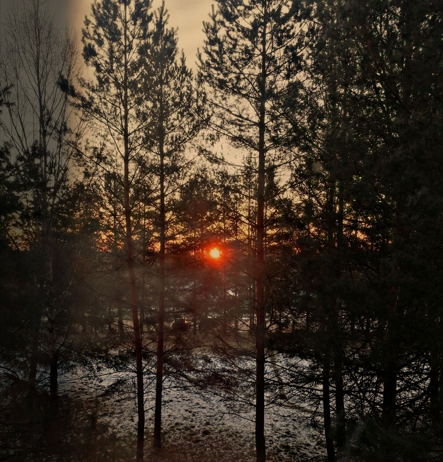 Photo #7651526