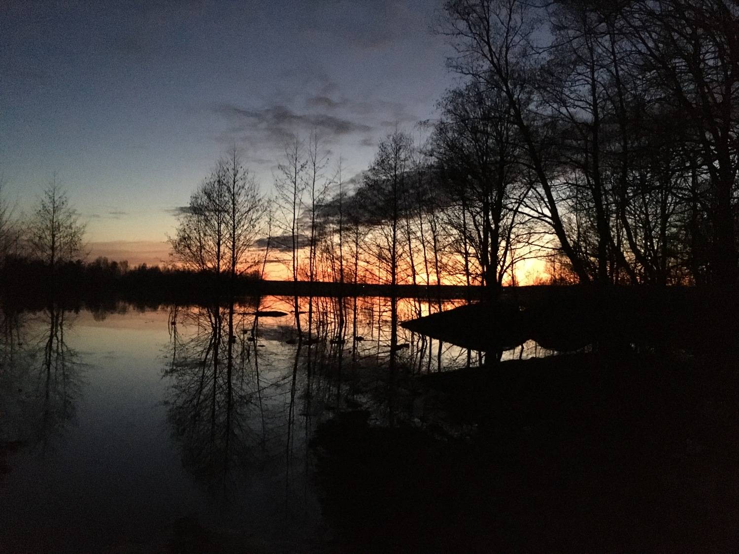 Photo #7651539